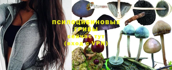 гашик Волоколамск