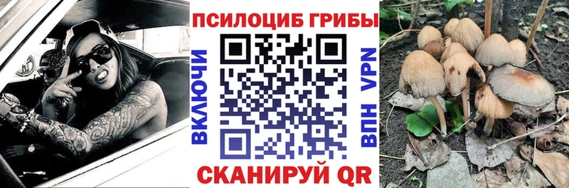 мега ONION  купить наркоту  Жиздра  Галлюциногенные грибы ЛСД 